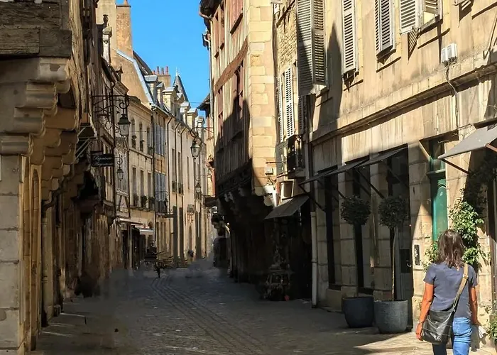 Clos Des Perrieres Cosy T2 Centre Gare アパート ディジョン